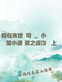 我在末世當司機